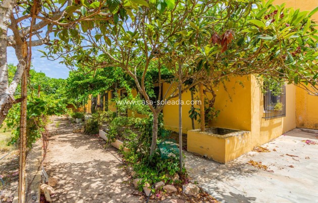 Revente - Villa - Los Montesinos - Costa Blanca