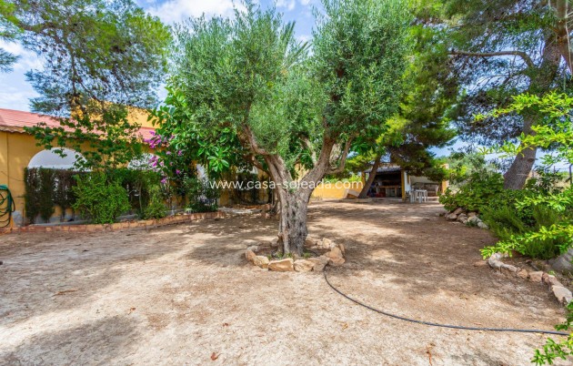 Revente - Villa - Los Montesinos - Costa Blanca