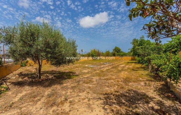 Revente - Villa - Los Montesinos - Costa Blanca