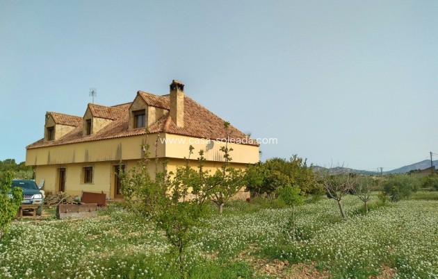 Herverkoop - Villa - Aspe - Inland