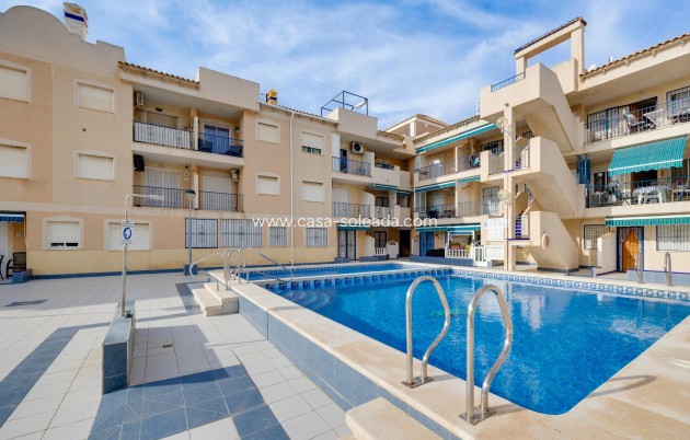 Wiederverkauf - Wohnung - Torrevieja - Costa Blanca