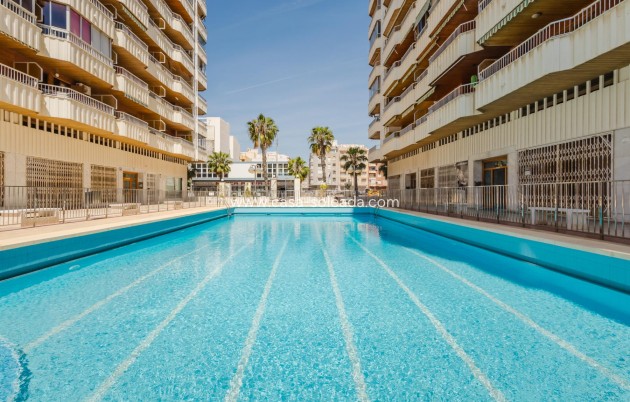 Resale - Apartment / flat - Torrevieja - Costa Blanca