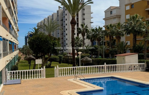 Revente - Appartement - Torrevieja - Costa Blanca