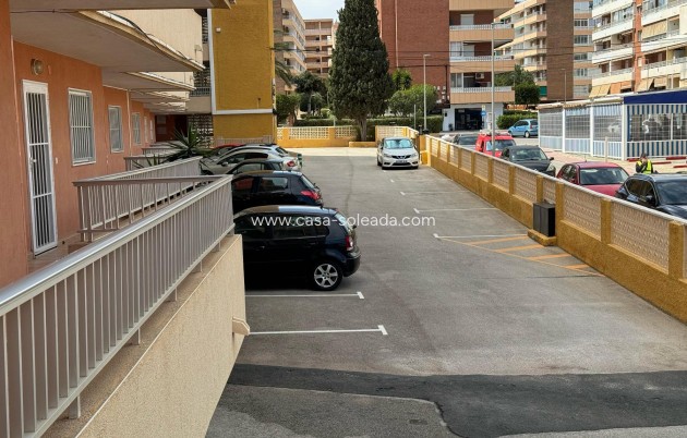 Revente - Appartement - Torrevieja - Costa Blanca
