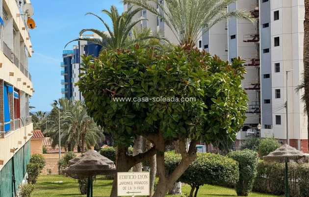 Revente - Appartement - Torrevieja - Costa Blanca