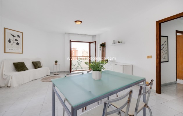 Reventa - Apartamento / piso - Torrevieja - Estacion Autobuses