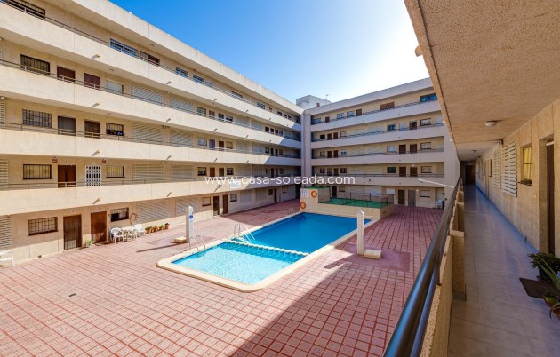 Reventa - Apartamento / piso - Torrevieja - Estacion Autobuses