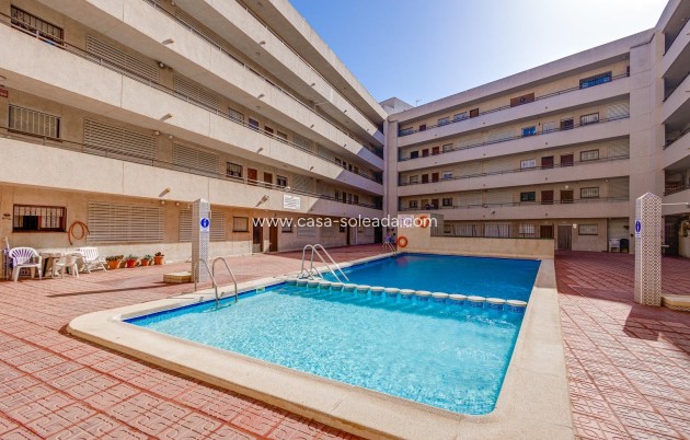 Reventa - Apartamento / piso - Torrevieja - Estacion Autobuses
