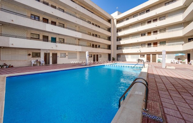 Reventa - Apartamento / piso - Torrevieja - Estacion Autobuses