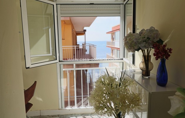 Herverkoop - Appartement / flat - Torrevieja - Costa Blanca