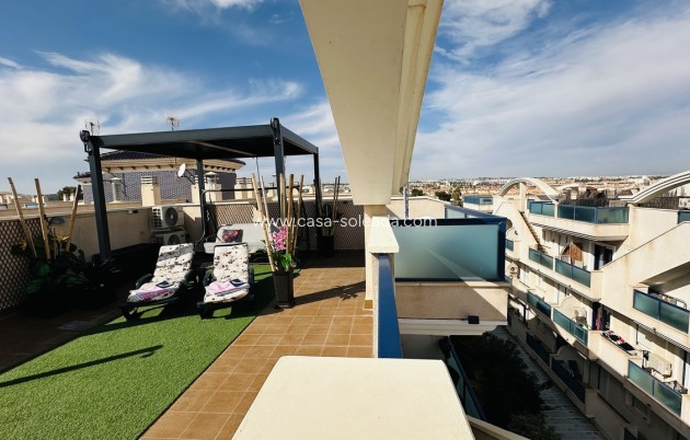 Resale - Apartment / flat - Cabo Roig