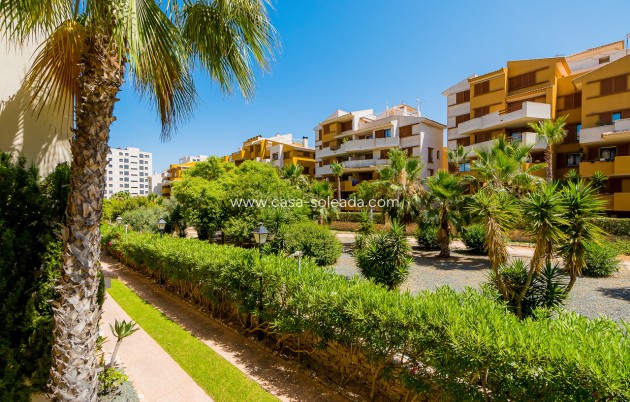 Reventa - Apartamento / piso - Punta Prima