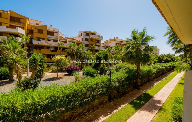 Reventa - Apartamento / piso - Punta Prima
