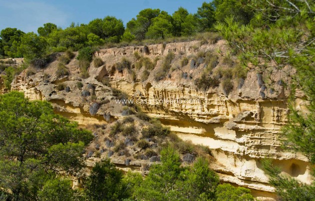 Obra nueva - Villa - Pinar de Campoverde