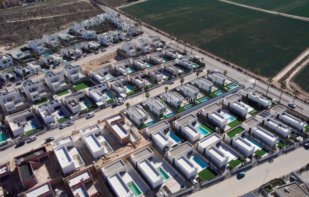 Nouvelle construction - Villa - Algorfa