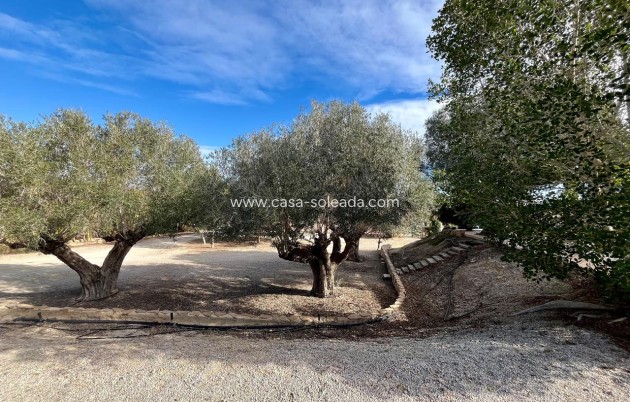 Revente - Country Property/Finca - El Esparragal