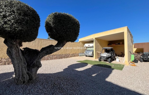 Reventa - Country Property/Finca - Fortuna