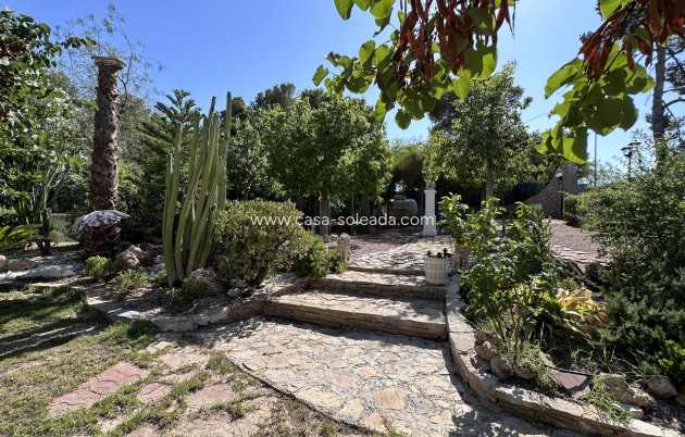 Resale - Villa - Elche