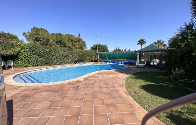 Resale - Villa - Elche
