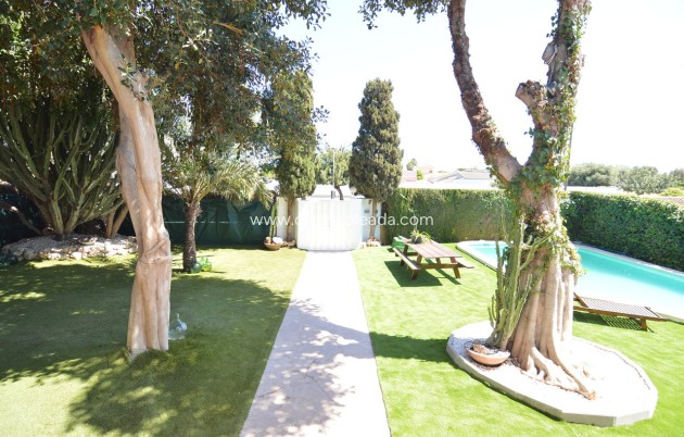 Herverkoop - Villa - Torrevieja