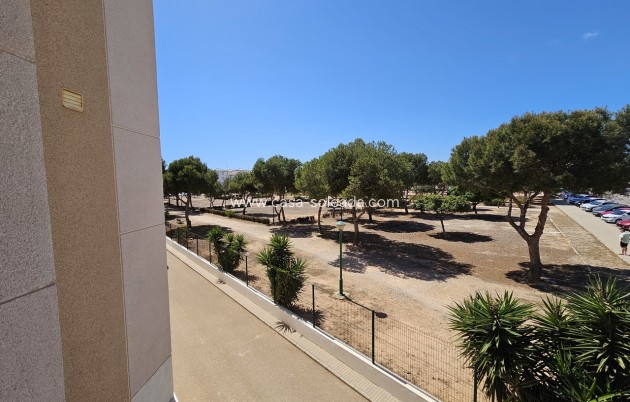Resale - Apartment / flat - La Zenia