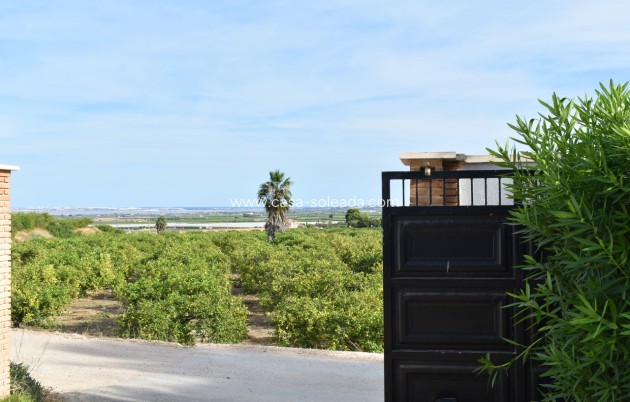 Revente - Villa - Torremendo