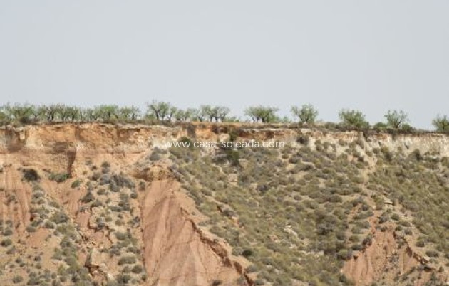 Revente - Land - Murcia
