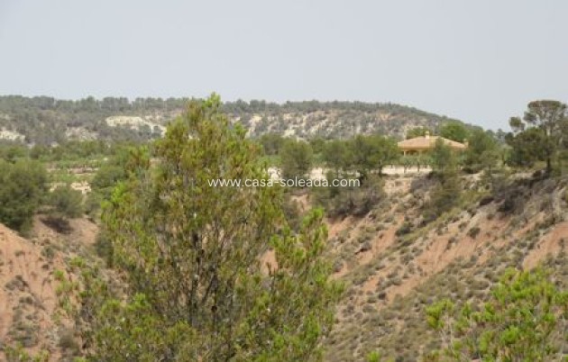 Revente - Land - Murcia