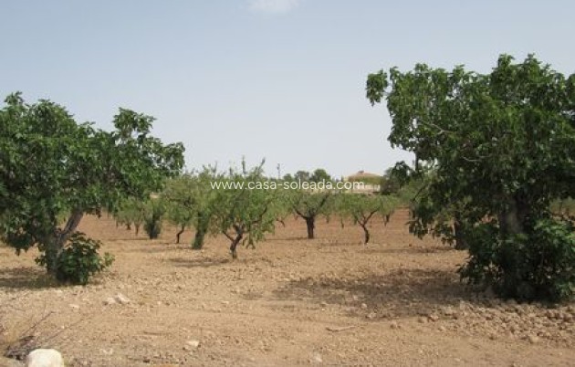 Revente - Land - Murcia