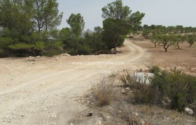 Revente - Land - Murcia