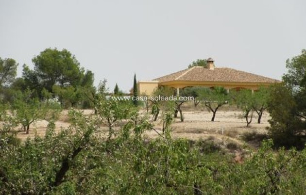 Revente - Land - Murcia