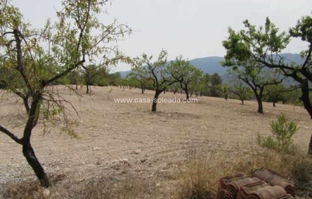 Revente - Land - Murcia