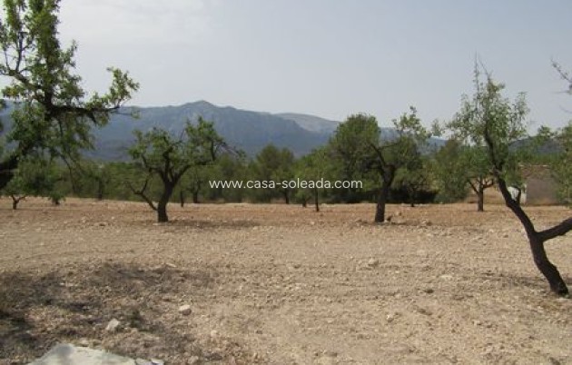 Revente - Land - Murcia
