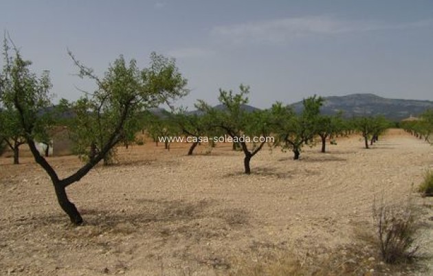 Revente - Land - Murcia