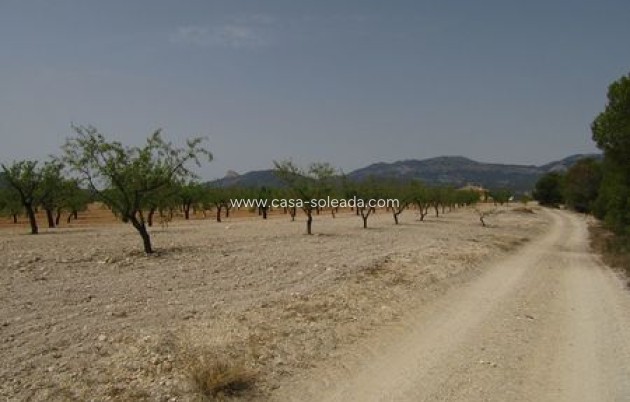 Revente - Land - Murcia