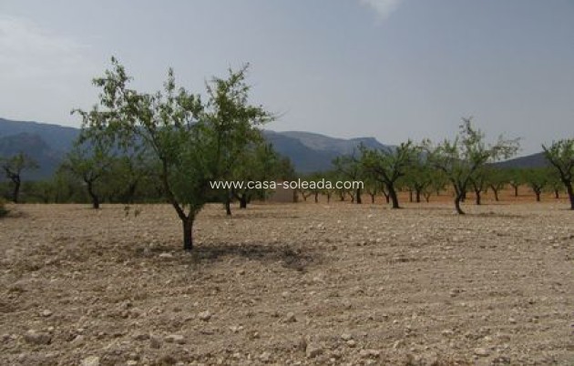 Revente - Land - Murcia