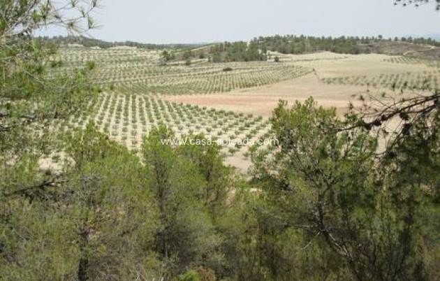 Revente - Land - Murcia