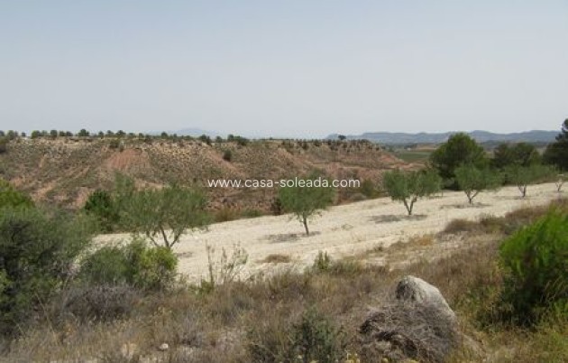 Revente - Land - Murcia