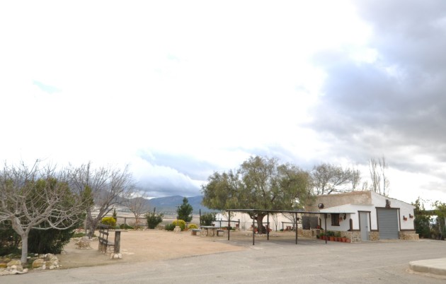 Herverkoop - Country Property/Finca - Jumilla - Inland