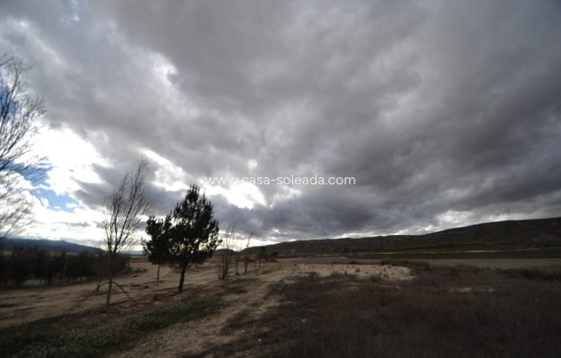 Herverkoop - Country Property/Finca - Jumilla - Inland