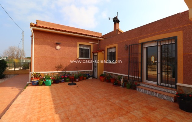 Herverkoop - Country Property/Finca - Daya Vieja - Daya vieja