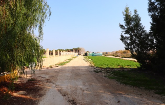 Herverkoop - Country Property/Finca - Daya Vieja - Daya vieja