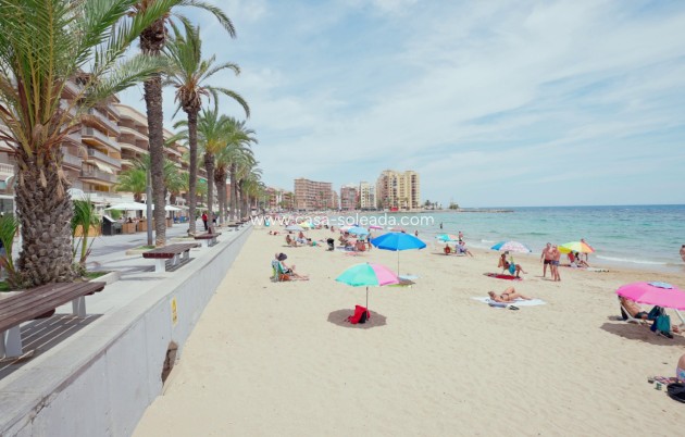 Herverkoop - Appartement / flat - Torrevieja