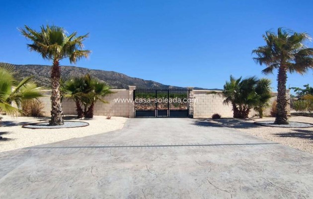 Herverkoop - Villa - Pinoso - Inland