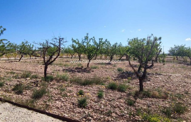 Herverkoop - Villa - Pinoso - Inland