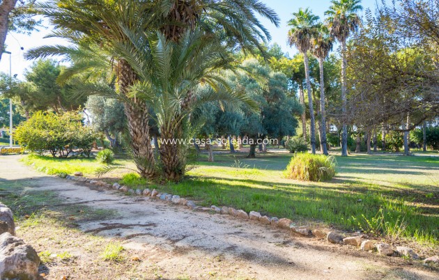 Resale - Studio - Torrevieja - Beach