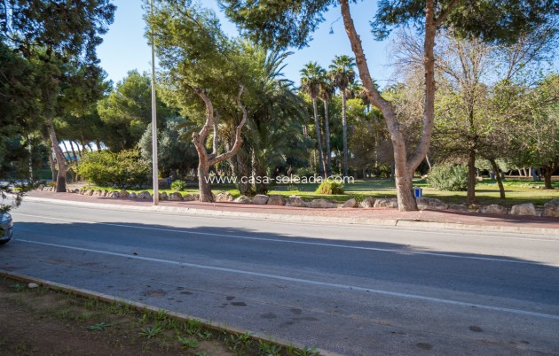 Resale - Studio - Torrevieja - Beach