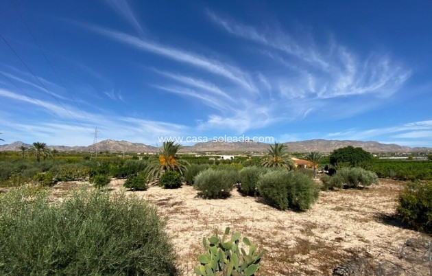 Herverkoop - Country Property/Finca - Albatera - Inland