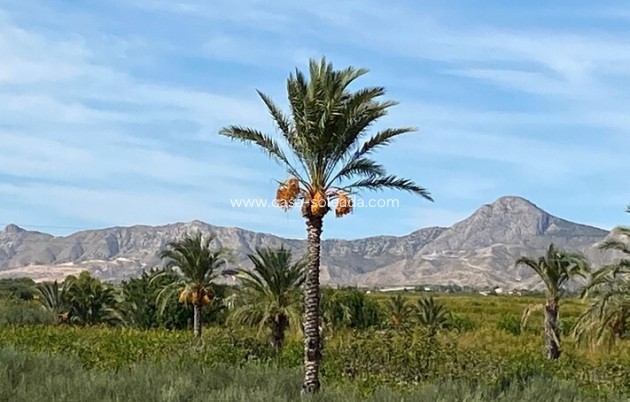 Herverkoop - Country Property/Finca - Albatera - Inland